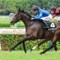 【阪神１１Ｒ・道頓堀Ｓ】インブロリオが好位から抜け出してオープン入り　川田将雅騎手「いい走りができました」