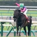 【オールカマー】障害帰りで大波乱演出！田辺裕信騎手「恵みの雨」９番人気メイショウゲキリンが重賞初制覇　３連単３８万円超え