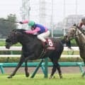 【オールカマー】ＪＲＡ最年長ジョッキー騎乗のキャントウェイトは無念２着　萱野調教師「スムーズなら…」