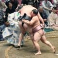 十両・炎鵬が４勝目　「ひるんだら負け。気合」新十両・丹治の激しい突っ張りにも前へ…３場所連続勝ち越しへ、五分で折り返し