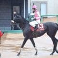 【オールカマー】武豊騎手のジューンテイクは追い込み届かず７着　レジェンドが挙げた敗因は「ちょっと馬場が...」