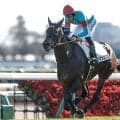 【神戸新聞杯予想】前走の上がり順位が好走の鍵を握る!? コースや展開に不安を感じる軽視したい人気馬とは