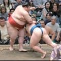 大関昇進を目指す熱海富士が６勝目　前日の敗戦引きずらず　琴栄峰に土俵際で逆転勝利