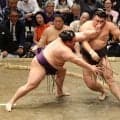 大関霧島が痛恨３敗目　綱とり極めて厳しい状況に　美ノ海に苦杯　横綱大の里が１敗守り単独首位、琴桜、熱海富士、宇良ら８人が２敗で追う