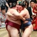 新入幕195センチ寿之富士、幕内Ｖ争いに加わり後半戦へ「自信に」御嶽海を寄り倒し６勝２敗