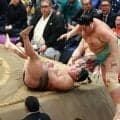 大関琴桜があっさり敗れ２敗目「当たっていないし踏み込んでいない」と元若乃花の花田虎上氏