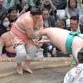 業師・宇良が技ありのとったりで逆転　６勝２敗で８日目終える