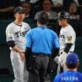 【阪神】ファウルが死球に　藤川監督、リクエスト成功直後に貴重追加点　DeNA相川監督は…