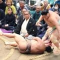 大関・琴桜が２敗目で首位から陥落　６勝２敗ターンは「変わらずやるだけ」