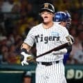 【阪神】あと数センチで本塁打がシングル安打に　重要イニングに前川右京が好守で貢献