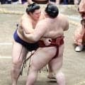大の里が１敗守り単独トップ「良くなってきている」隆の勝に盤石の相撲、前へ出る力に手応え