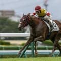 【中山5R】絶好調エフフォーリア産駒！ラプチュラスがデビューV…産駒12頭目の勝ち上がり