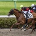 【中山6R】良血ウリズンベーが人気に応えて快勝…しぶとく抜け出し2勝目