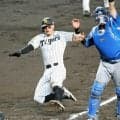 阪神・佐藤輝　走攻守で火付け役　二塁打２本含む４出塁「良かったです」好守連発に藤川監督称賛「非常に良い姿」