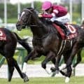神戸新聞杯は日本ダービー組が近10回全勝 上がり上位馬にも注目