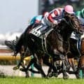 【神戸新聞杯予想】菊花賞への優先出走権かかる一戦 阪神2400mでスタミナ問われる