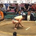 「何気に映ってるやん」大相撲、行司の背後に着物姿の美人女優が降臨 「お美しい」「早い時間から」驚きの声