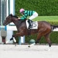 【阪神４Ｒ・２歳新馬】直線は独り舞台！　ワンスフォーユーが衝撃の２・５秒差の大差Ｖ　田山旺佑騎手「競馬に行って２つ良さが…」