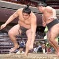 序二段・冨蘭志寿、台風２５号接近で部屋を普段より１時間早く出発「止まったらやばいなと思って」　電車遅延で取組順変更の過去の経験生かす