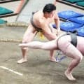 国技館に響く「垣添ー！」の声…12連勝でファン急増　実は研究熱心、琴光喜＆朝青龍動画で勉強