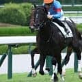 【阪神5R新馬戦結果】キングリアが差し切り勝ち 母は重賞2勝リアアメリア