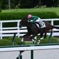 【阪神4R新馬戦結果】ナダル産駒ワンスフォーユーが大差勝ち