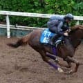 月曜阪神競馬場の注目激走馬…阪神１０Ｒ・キタサンブラックカップ