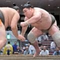 三段目・矢後が今場所初白星　連敗中も貫いた「前に出る相撲」が実り「やっと白星につながった」