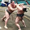 三段目・天照馬が元十両・宮乃風を破り３勝目　同部屋・大凜山の勝利に刺激「負けてられないと思った」
