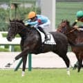 【阪神５Ｒ・２歳新馬】重賞２勝リアアメリアの初子キングリアが上がり最速でデビュー星　川田将雅騎手「能力があるのは間違いない」