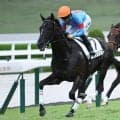【阪神5R新馬戦結果】キングリアが差し切り勝ち 母は重賞2勝リアアメリア