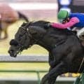 【オールカマー】障害帰りの7歳馬がグランプリホース撃破…田辺裕信「恵みの雨だった」