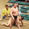 旭富士が西幕下筆頭で勝ち越し！史上最速タイ新十両に大きく前進【大相撲】