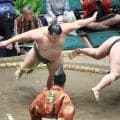 幕下・大辻、元十両・三田を破って４勝目　「関取経験者同士は関係なく、集中していけた」