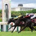 【神戸新聞杯】写真判定も...単勝１・４倍の圧倒的支持に応えロブチェンが王者の貫禄Ｖ　 史上９頭目の３冠へ好発進　