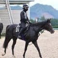 【神戸新聞杯】武豊騎手と初コンビの５・９億円馬エムズビギンは５着　過去にはディープインパクトなどで３勝のレジェンド