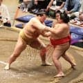 十両・輝が無傷の９連勝　 地元・石川で発生した奥能登豪雨から２年「復興に向けて頑張っているので、僕もやらないと」