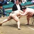 旭富士が新十両に大きく前進、デビュー５場所連続勝ち越し　６場所で昇進なら史上最速タイ記録