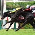 【神戸新聞杯】写真判定ハナ差も...単勝１・４倍の圧倒的人気ロブチェンが貫禄Ｖ　 松山弘平騎手「なんとか勝ち切って...」　