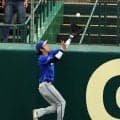 ＤｅＮＡ　度会隆輝がフェンス激突のスーパープレー　坂本の大飛球をキャッチで糸井氏「フェンスを恐れずに」甲子園のスタンドから拍手