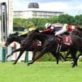 【神戸新聞杯】写真判定ハナ差も...単勝１・４倍の圧倒的人気ロブチェンが貫禄Ｖ　 松山弘平騎手「なんとか勝ち切って...」　