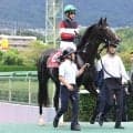 【神戸新聞杯】武豊騎手と初コンビの５・９億円馬エムズビギンは５着　最後方追走から「一瞬飲み込むかなと」