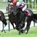 【神戸新聞杯結果】二冠馬ロブチェンが秋初戦をV！ いざ菊の舞台へ！