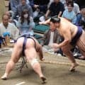 横綱大の里が８勝１敗　ただ一人勝ち越し決める　初顔合わせの平幕藤凌駕を下す　関脇藤ノ川が大関琴桜との２敗対決を制す