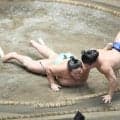 藤ノ川が琴桜を撃破　新関脇で勝ち越しにあと１勝　１差で優勝争いにも加わる