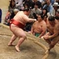 大関昇進を目指す熱海富士が７勝目　対戦成績五分の高安にぐらつきながらも、押し勝つ
