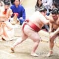 大関目指す熱海富士、高安の意表を突く作戦にも動じず２敗キープ