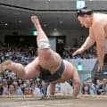 大の里が勝ち越し　初顔の藤凌駕を退ける　１年ぶりの優勝へ１敗で単独首位キープ