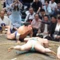 「スターやなぁ」「めちゃくちゃ目立つ！」　人気芸人お笑いタレント２人が隣同士で仲良く観戦　テレビ中継に映りＳＮＳ沸く「秋場所見てたら東ＭＡＸとはなわさんいた」
