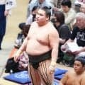 旭富士が勝ち越し、新十両へ大きく前進　昇進なら初土俵から所要６場所、昭和以降最速タイ